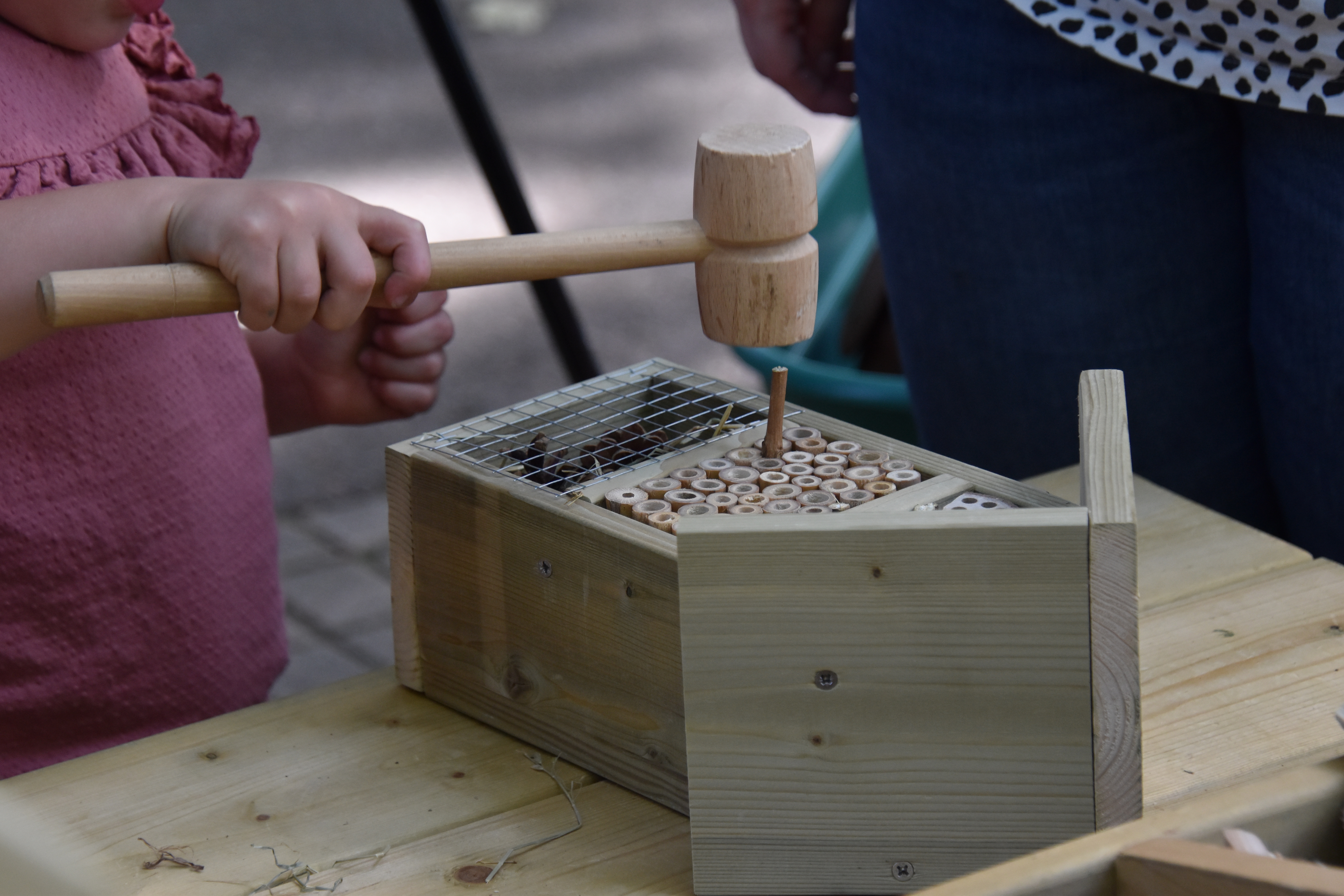 Inzoemen op Insecten