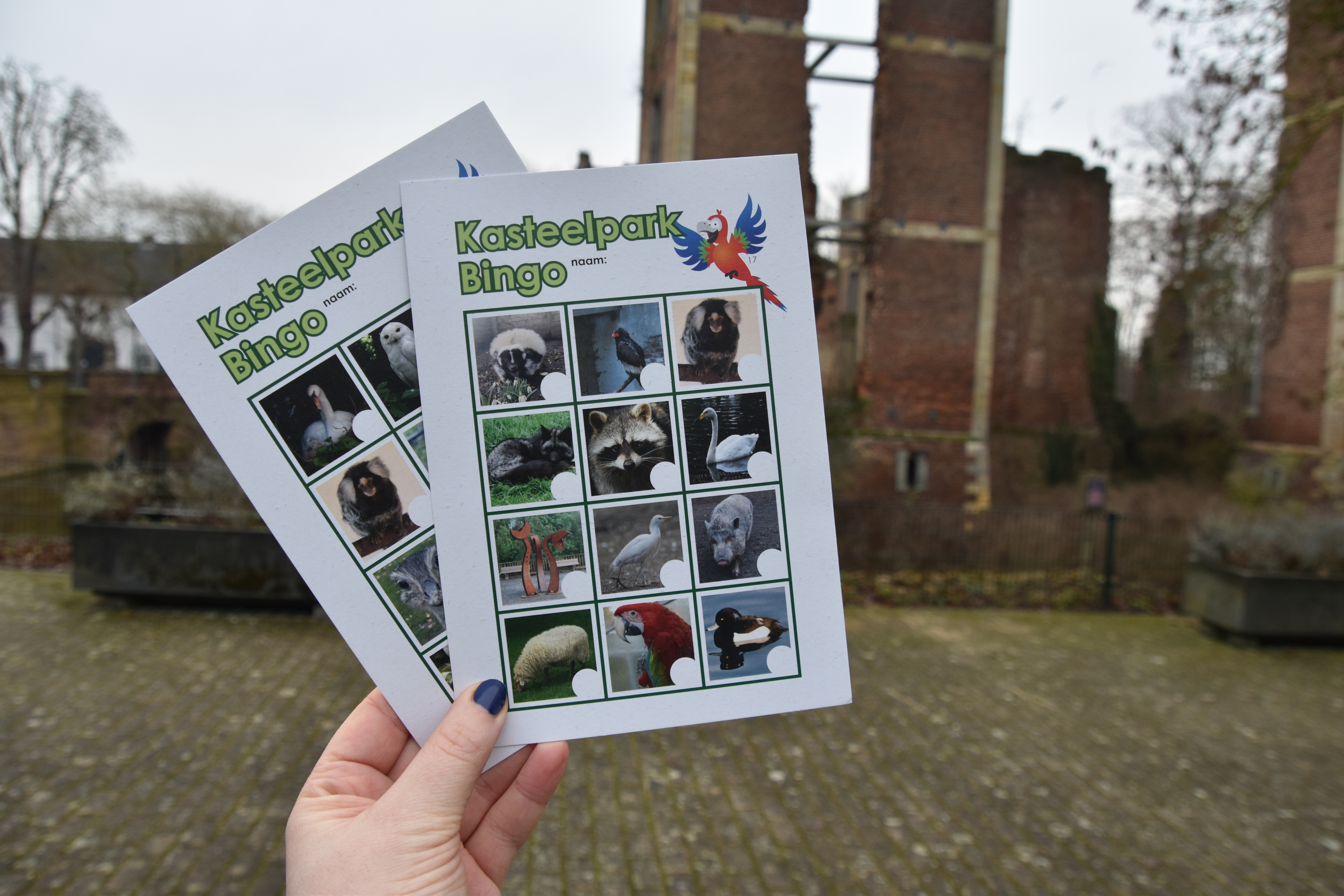 Opa- en omadag – Kasteelpark Born